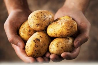 Cartoful. Caracteristici si valori nutritionale