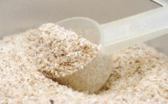 Fibrele de psyllium, ideale impotriva constipatiei si colesterolului