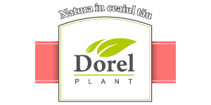 DOREL PLANT