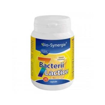 7 bacterii lactice 20 cps BIO-SYNERGIE