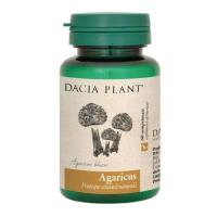 Agaricus DACIA PLANT