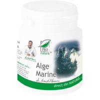 Alge marine