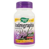 Andrographis standardized NATURES WAY