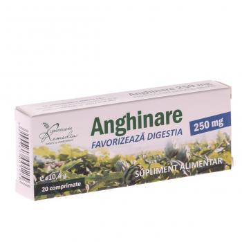 Anghinare 250mg 20 cpr REMEDIA