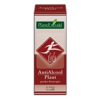 Antialcool plant