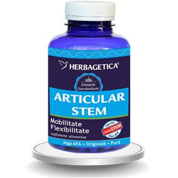 Articular + stem 120 cps HERBAGETICA