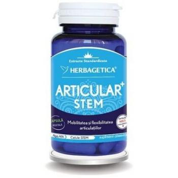 Articular + stem 30 cps HERBAGETICA