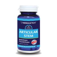 Articular stem