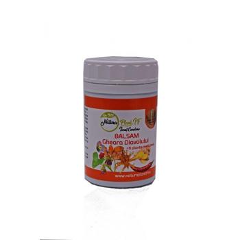 Balsam gheara diavolului cu 6 plante 250 ml NATURA PLANT POIENI