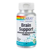 Brain support