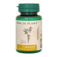 Calmotusin DACIA PLANT