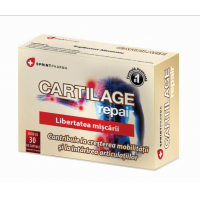 Cartilage repair 30cps SPRINT PHARMA