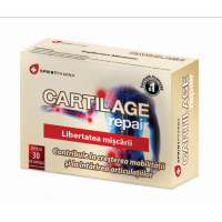 Cartilage repair