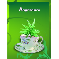 Ceai de anghinare
