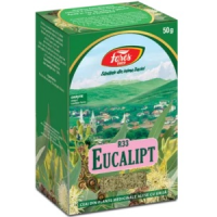 Ceai din frunze de eucalipt