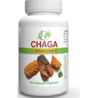 Chaga + vitamina c