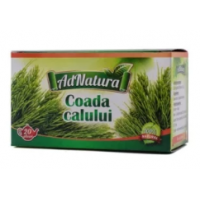 Coada calului 