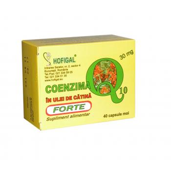 Coenzima q10 in ulei de catina forte 30mg 40 cps HOFIGAL