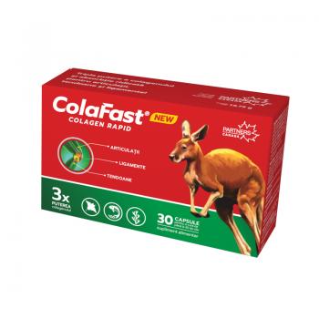 Colafast-colagen rapid 30 cps DAMAR