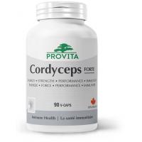 Cordyceps csm 2000 PROVITA