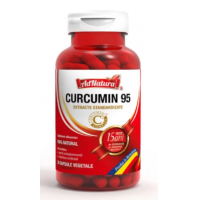 Curcumin 95 