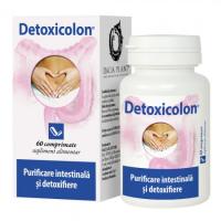 Detoxicolon