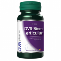 Dvr-stem articular DVR PHARM