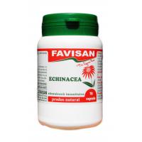 Echinacea b012 FAVISAN