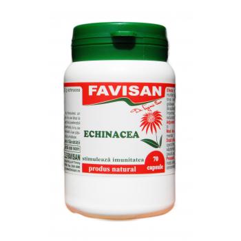 Echinacea b012 70 cps FAVISAN