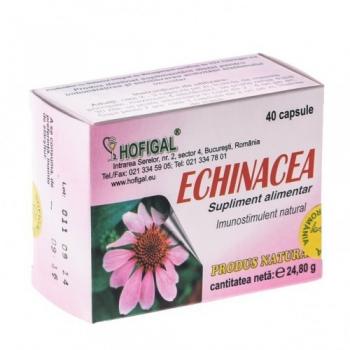 Echinaceea 40 cps HOFIGAL