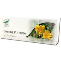 Evening primrose