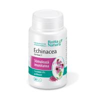 Extract de echinacea ROTTA NATURA