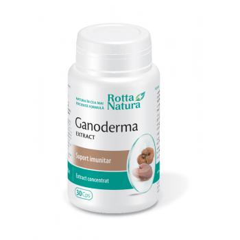 Extract de ganoderma 30 cps ROTTA NATURA