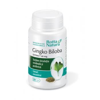 Ginkgo biloba 60 mg 30 cps ROTTA NATURA