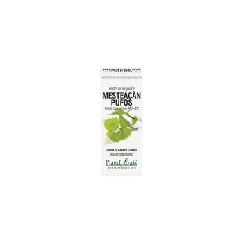 Extract din muguri de mesteacan pufos - betula pubescens mg=d1 50 ml PLANTEXTRAKT