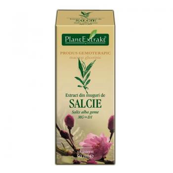 Extract din muguri de salcie - salix alba gemme mg=d1 50 ml PLANTEXTRAKT