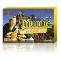 Extract de rasina mumie 100% natural-tablete 60buc DAMAR