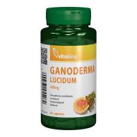 Ganoderma lucidum 