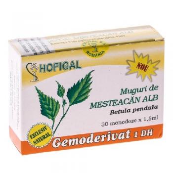 Gemoderivat din muguri de mesteacan alb - monodoze 30 ml HOFIGAL