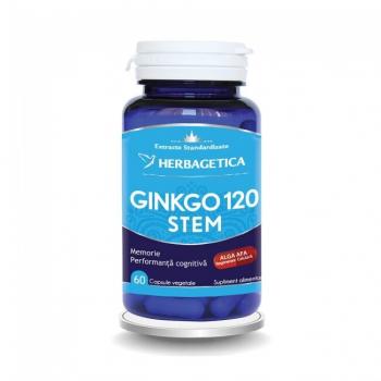 Ginkgo 120 + stem 60 cps HERBAGETICA