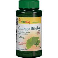 Ginkgo biloba 120mg