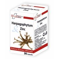 Harpagophytum & zinc