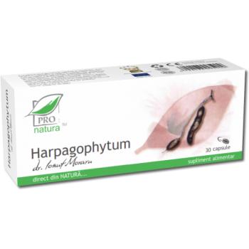 Harpagophytum 30 cps PRO NATURA