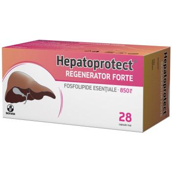 Hepatoprotect regenerator forte 28 cps BIOFARM