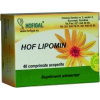 Hof lipomin
