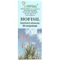 Hofisil HOFIGAL