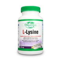 L-lysine ORGANIKA