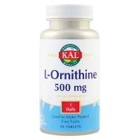 L-ornithine