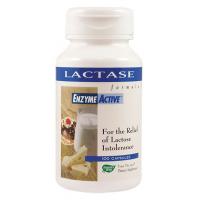 Lactase enzyme active
