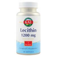 Lecthin